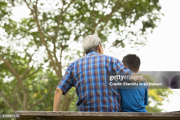 grandfather hugging his grandson in park - child hugging tree stock pictures, royalty-free photos & images