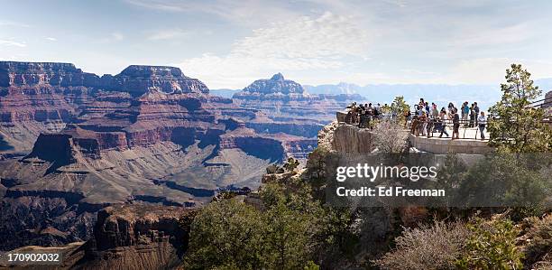 grand canyon national park - mather point stock pictures, royalty-free photos & images