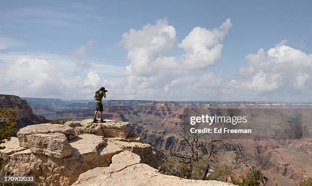 grand canyon national park - mather point stock pictures, royalty-free photos & images