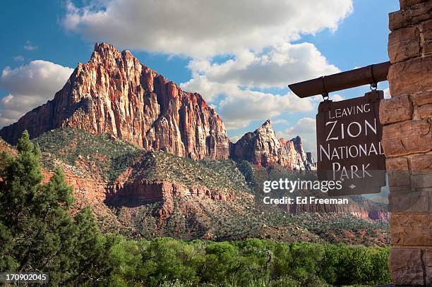 zion national park - zion national park stockfoto's en -beelden