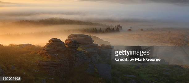 bellever tor - outcrop stock pictures, royalty-free photos & images
