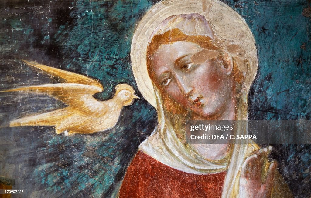 The dove of the Holy Spirit and the Virgin...