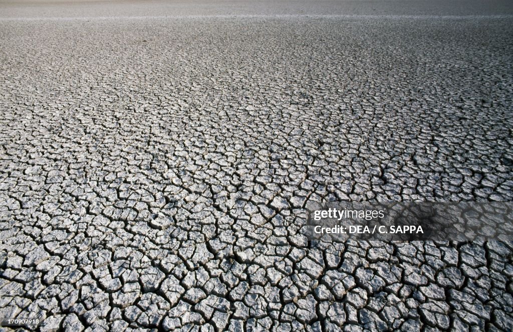 Dry land, Donana National Park, Spain