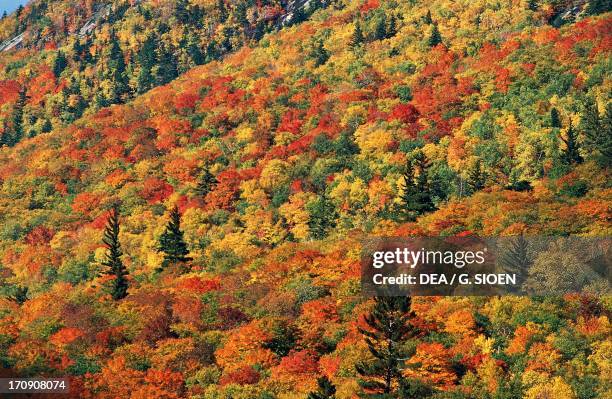 Autumn landscape on Mount Webster, White Mountains, Crawford Notch, New Hampshire, United States of America.