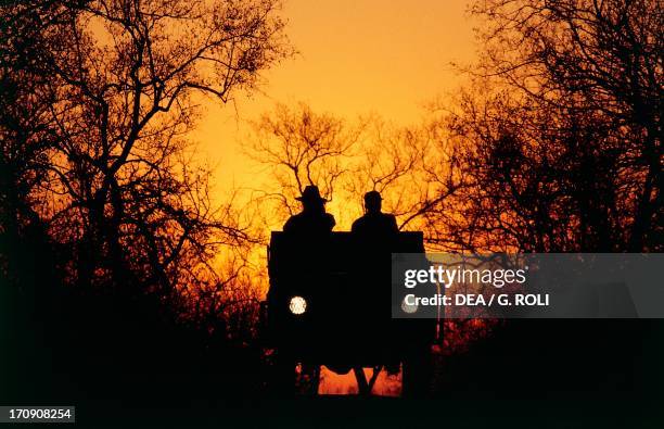 Jeep on a track during a safari at dawn, Londolozi Private Game Reserve, Transvaal, South Africa.
