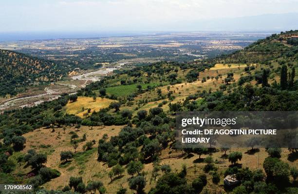 View of olive groves, Pollino National Park, Basilicata, Italy.
