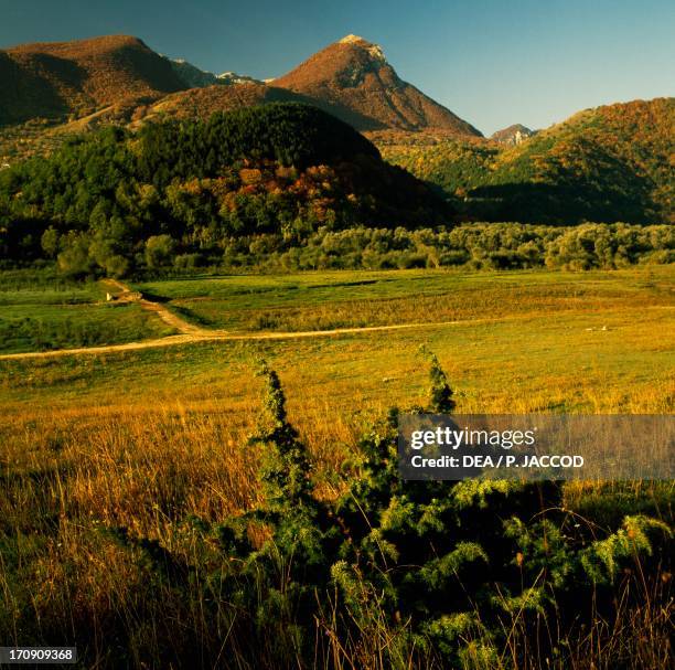 Mount Sterpi d'Alto seen from Lake Barrea, Abruzzo, Lazio and Molise National Park, Abruzzo, Italy.