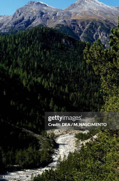 Stream in the Swiss National Park, Engadin, Grisons, Switzerland.