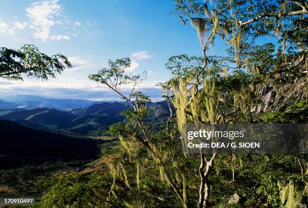 Chimanimani Rocks Chimanimani National Park Photos and Premium High Res Pictures - Getty ...