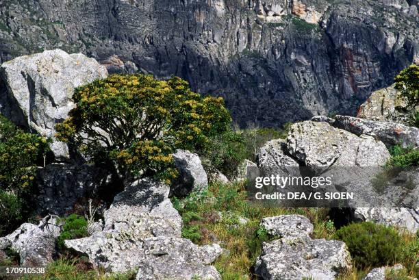 Chimanimani Rocks Chimanimani National Park Photos and Premium High Res Pictures - Getty ...