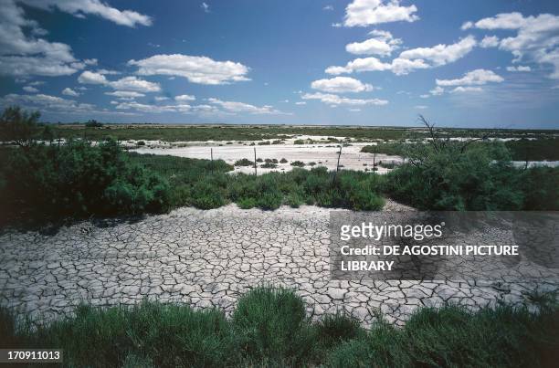 Dry land due to drought, Regional Nature Park of the Camargue , Provence-Alpes-Cote d'Azur, France.
