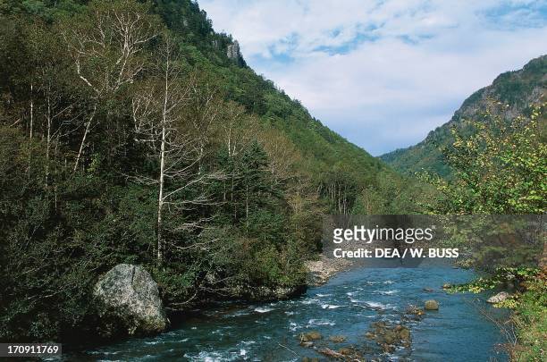 Ishikari River in Sounkyo Gorge, Daisetsuzan National Park, Hokkaido, Japan.