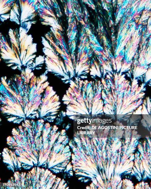 Crystallization of ascorbic acid or vitamin C.