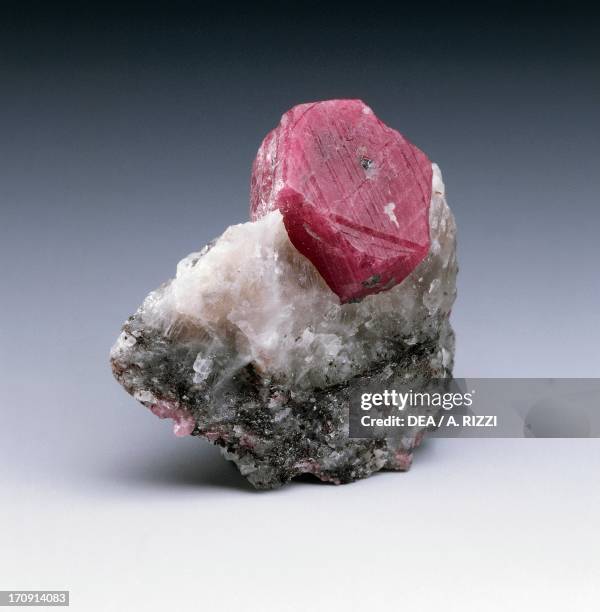 Rubyfoxide Ruby Gray Photos and Premium High Res Pictures - Getty Images