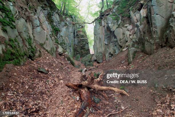 Stenzelber rocks, Siebengebirge Nature Park , North Rhine-Westphalia, Germany.