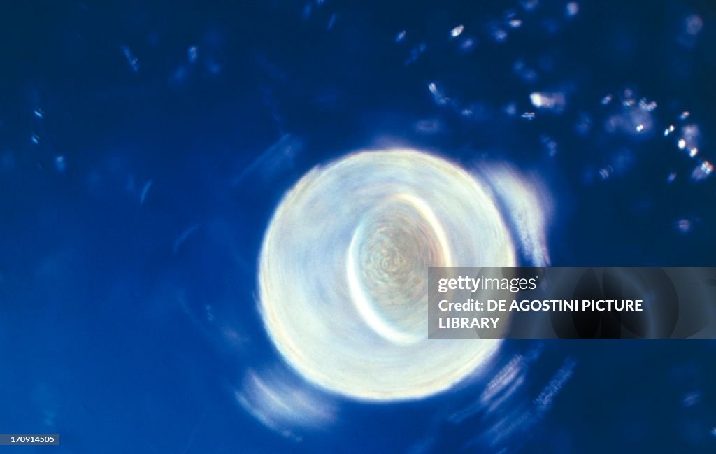 Fertilization stage...