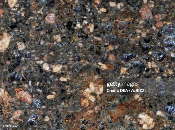 Porphyry Shells Porphyry (Geology) Photos and Premium High Res Pictures - Getty Images