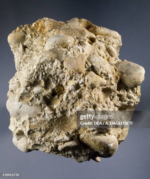 Clactic 17 Clastic Stock Photos, High-Res Pictures, and Images - Getty Images