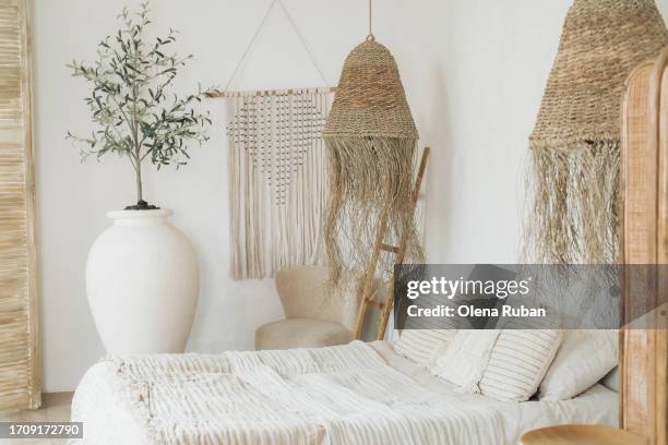 a bed and a tree in a pot in decorated bedroom. - sofa bed stock pictures, royalty-free photos & images