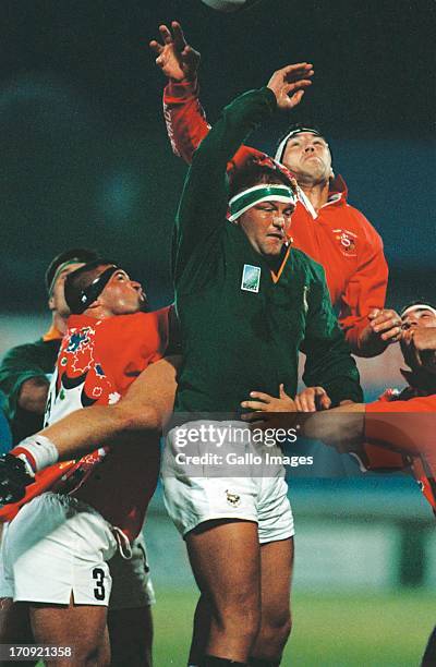 1,025 1995 Rugby World Cup Photos & High Res Pictures - Getty Images