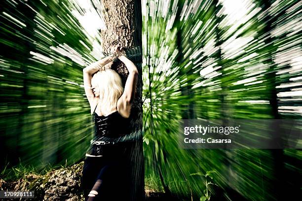 restrained - person chained to tree stock pictures, royalty-free photos & images