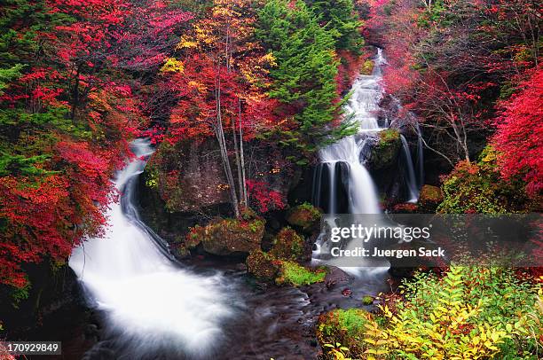 ryuzu falls in autumn at dawn - nikko shi stock pictures, royalty-free photos & images