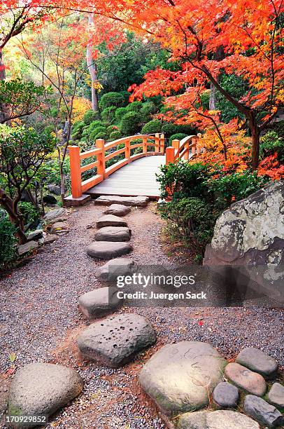 autumn ways - in a japanese garden stock pictures, royalty-free photos & images