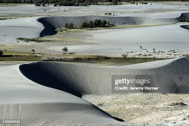 Barchan sand dunes near Hundar, Nubra Valley..