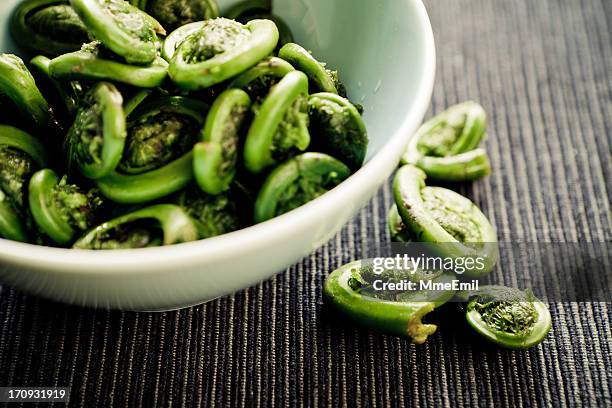 fiddlehead fern - fiddlehead stock pictures, royalty-free photos & images