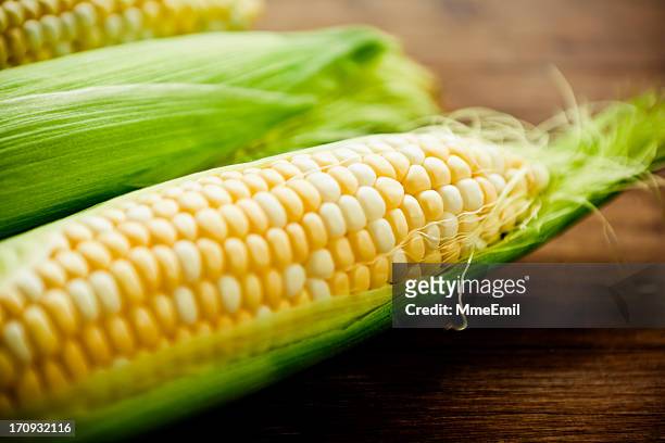 épi de maïs - corn cob photos et images de collection