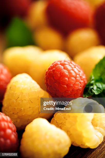 raspberries - brambleberry stock pictures, royalty-free photos & images