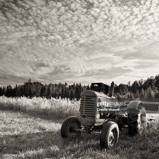 Retro Tractor 7,480 Vintage Tractor Stock Photos, High-Res Pictures, and Images ...