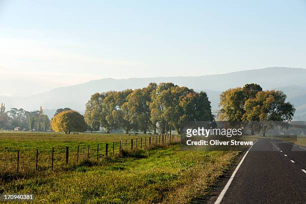 country road - main road stock pictures, royalty-free photos & images