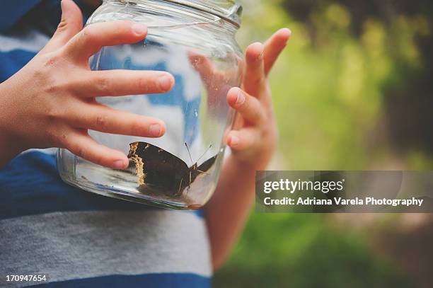 child holding butterfly in jar. - releasing butterflies stock pictures, royalty-free photos & images