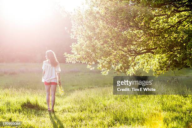 woman in meadow at sunset - hampstead heath - fotografias e filmes do acervo