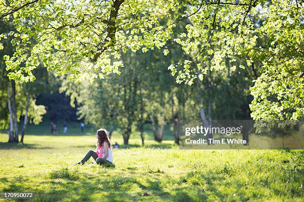 woman relaxing in a meadow at sunset - hampstead heath - fotografias e filmes do acervo