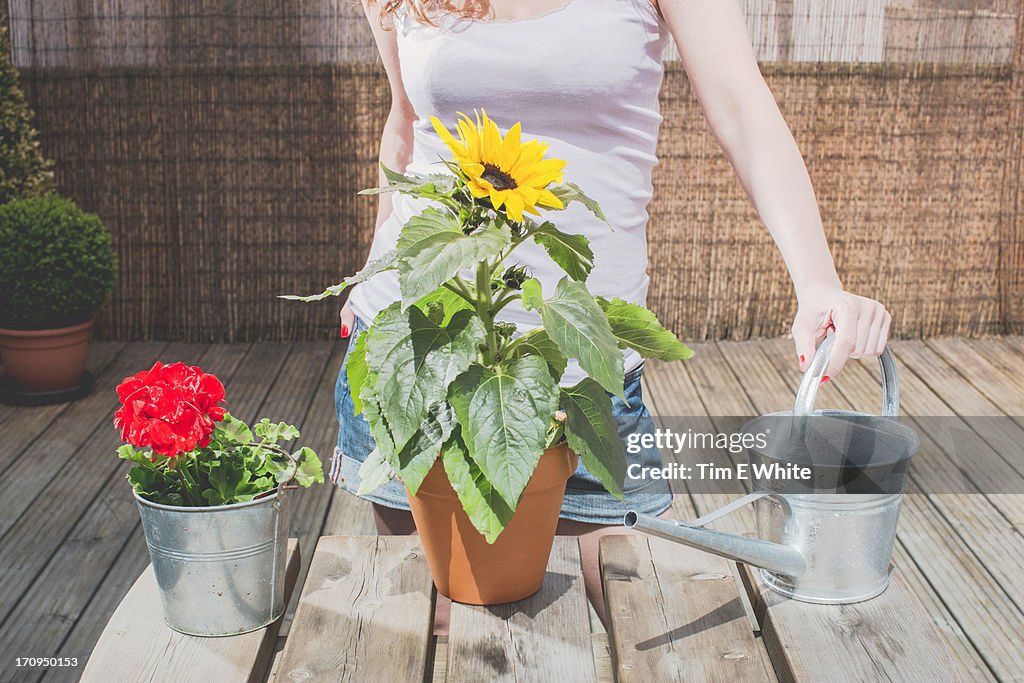 Woman on a terrace watering plants