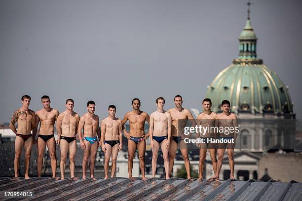 In this handout image provided by Red Bull, shows the 10 series divers, Matt Cowen of the UK, Artem Silchenko of Russia, David Colturi of the USA,...