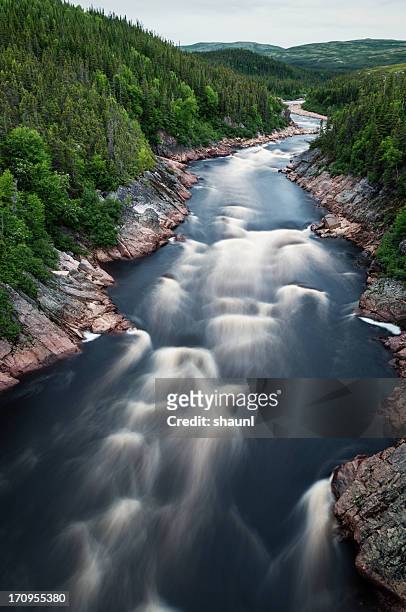 flowing pinware river - newfoundland and labrador stock pictures, royalty-free photos & images