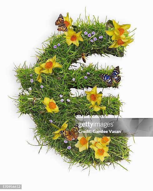 euro symbol with flowers and grass - bee on flower white background stock pictures, royalty-free photos & images