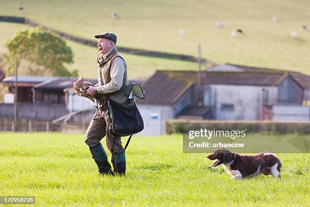 gamekeeper working with his dog - jachtopziener stockfoto's en -beelden