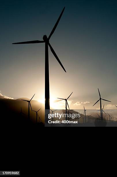 silhouetted wind turbines - riverside county bildbanksfoton och bilder
