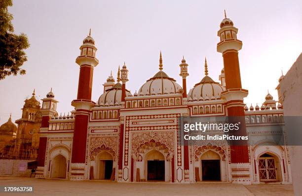 Moti Masjid, Rampur, India.