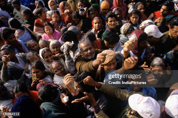 Looking down on part of the huge crowd of pilgrims, reaching out for prasad from the priests, who have come to pay their respects at the temple for...