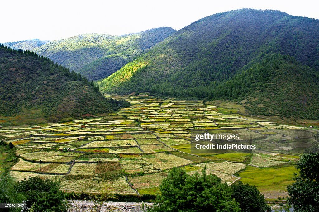 Dihang Landscape, Dirang Valley, Arunachal Pradesh, India. News Photo - Getty ...