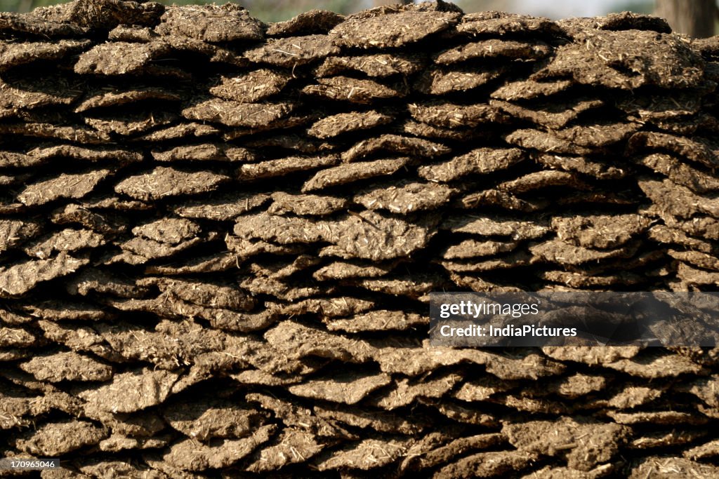 Uple', traditional cow dung cake fuel. News Photo - Getty Images