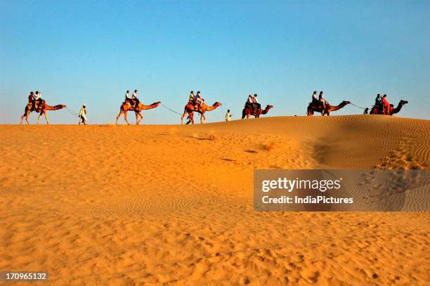 Sam desert, Jaisalmer, Rajasthan, India.