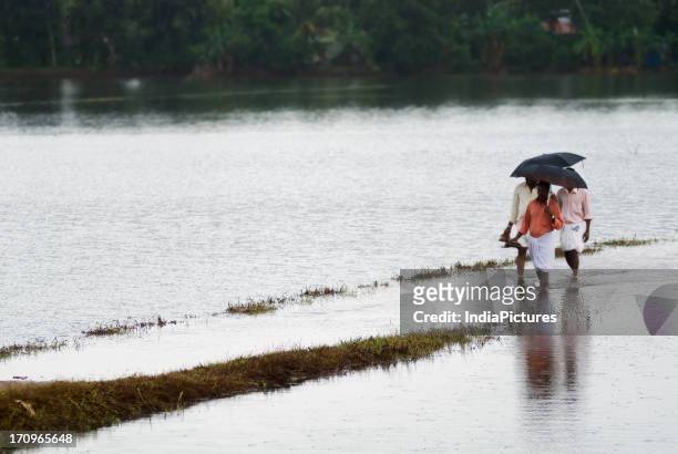 Men crossing a road covered with water due to the monsoons in Alappuzha, Kerala, India .