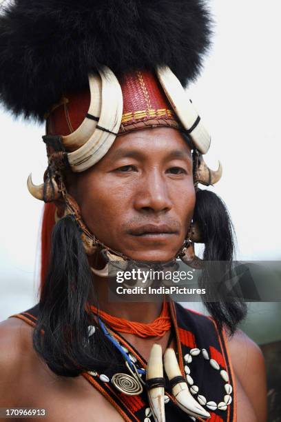 Angami Photos And Premium High Res Pictures Getty Images angami-photos-and-premium-high-res-pictures-getty-images