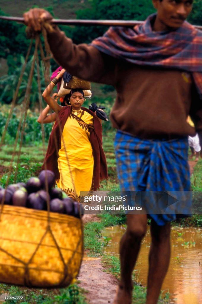 Farmer carrying produce